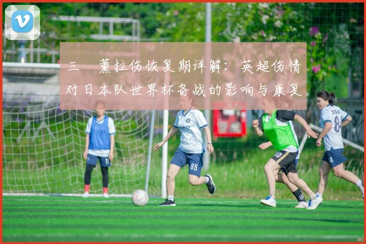 三笘薰拉伤恢复期详解：英超伤情对日本队世界杯备战的影响与康复指南